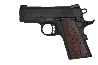 Defender (45 Acp)
