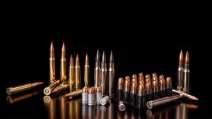 various types of ammunition